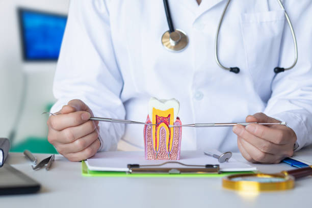 Best Urgent Dental Care for Toothache in Wixom, MI